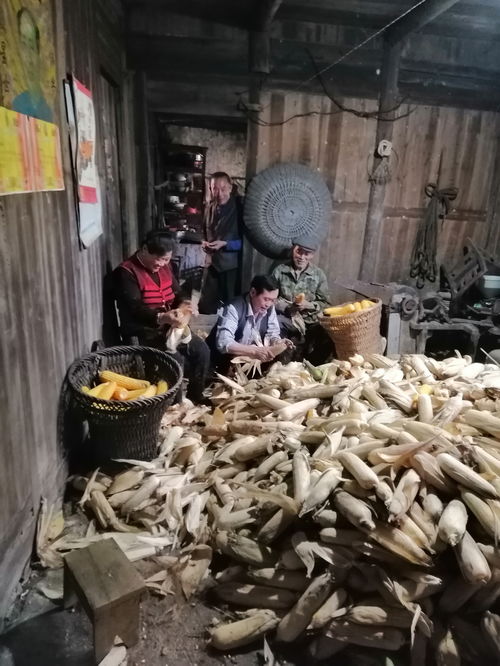 老驥伏櫪顯真情，戰(zhàn)疫扶貧一肩挑