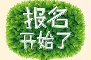 鄂爾多斯市殘疾人手工藝品DIY培訓(xùn)班開始報名了